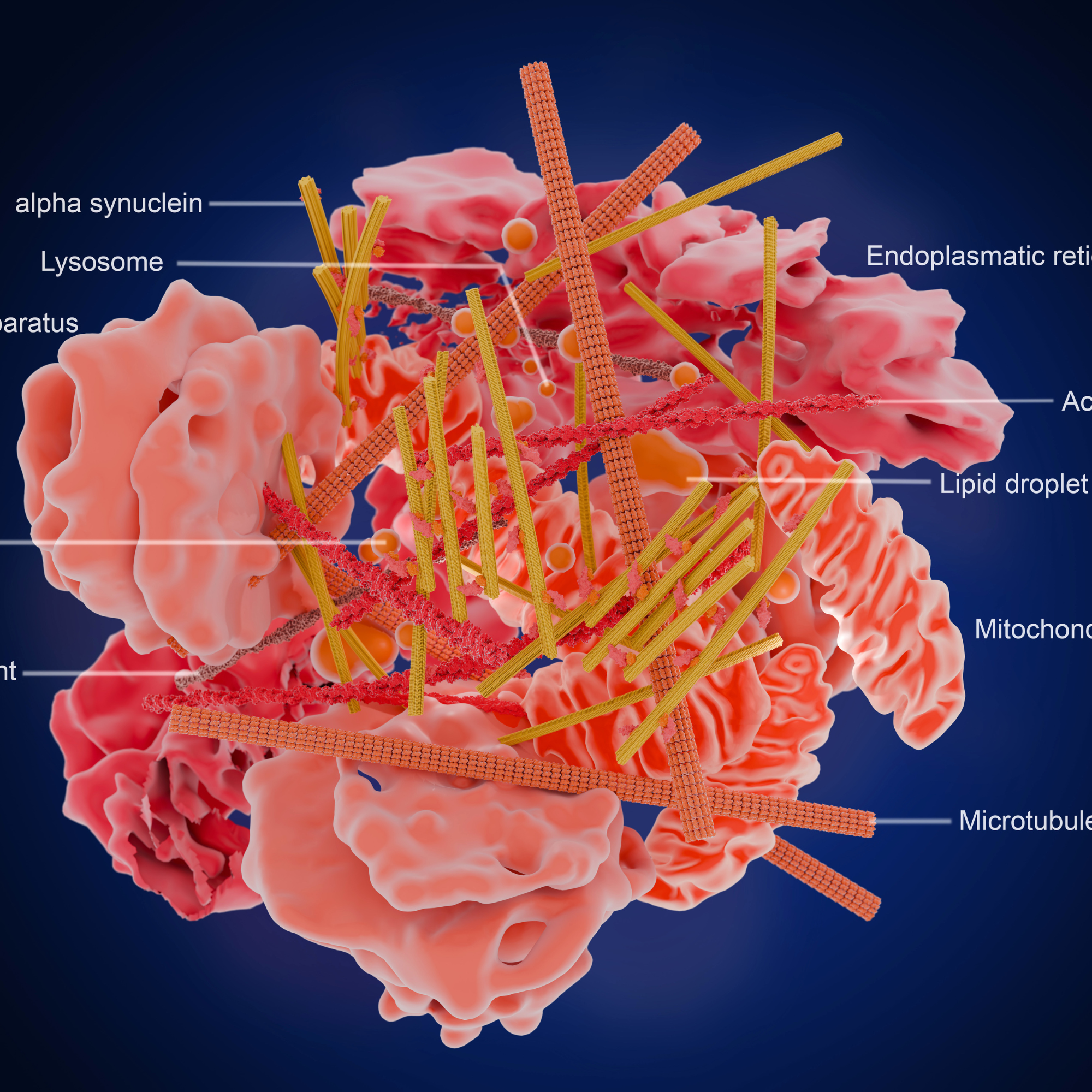 Home insilicologics image4