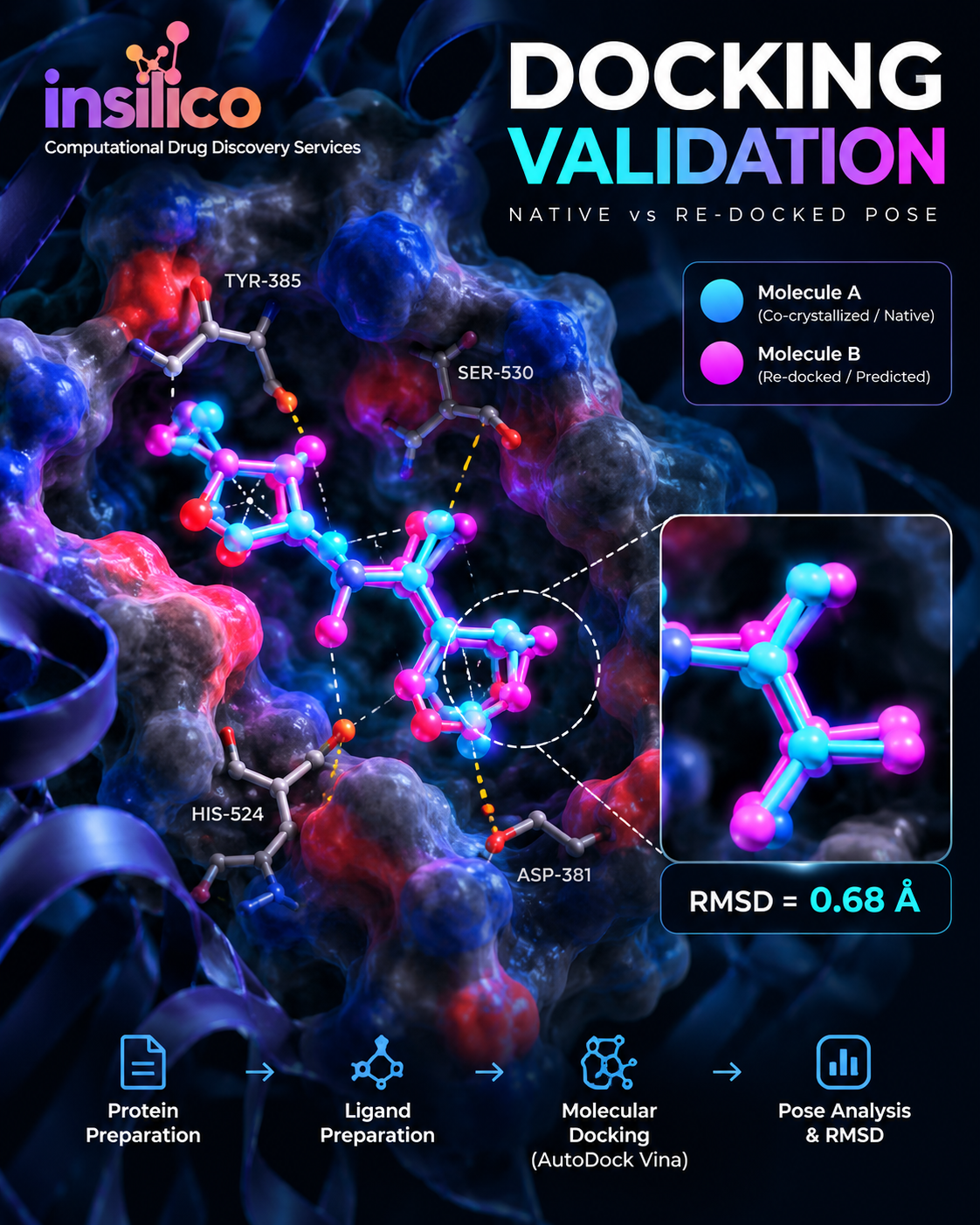 Molecular Docking Workflow: From Protein Preparation to Publication-Ready Results Molecular Docking Workflow: From Protein Preparation to Publication-Ready Results
